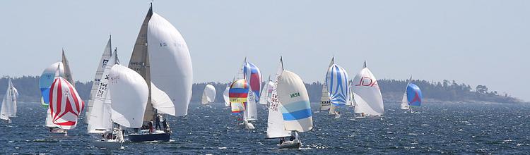 F�ltet 2005